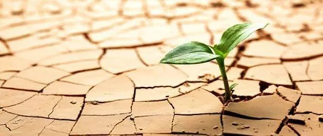 Vamos falar sobre resiliência?